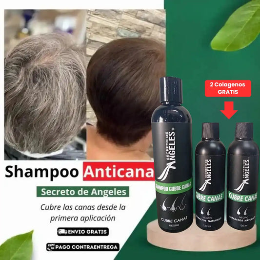 Shampoo Cubre Canas Secreto de Ángeles➕2 COLAGENOS GRATIS🎁
